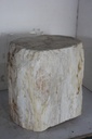 Raw Edge Petrified Wood Stump - Natural Light