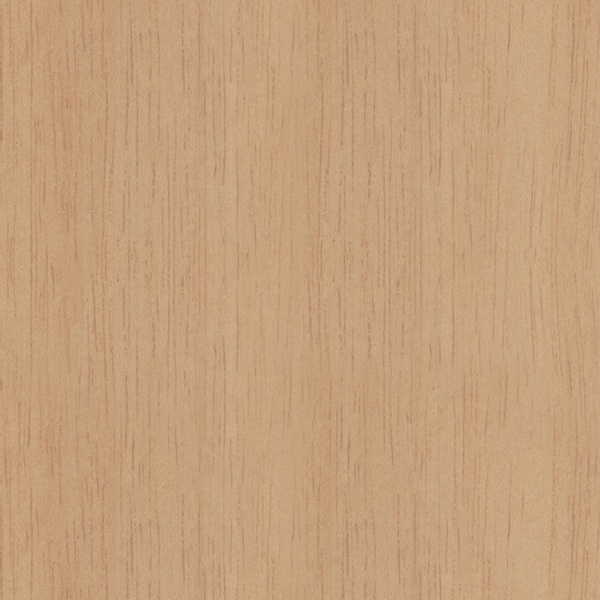 Tonia Dining Chair