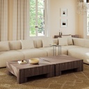 Eka Coffee Table