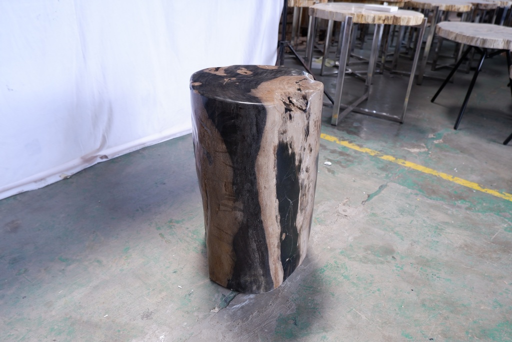 Polished Petrified Wood Stump - Natural Dark