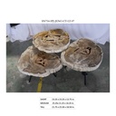 Jeno Nesting Coffee Table (set of 3) - Natural Light