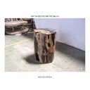 Polished Petrified Wood Stump - Natural Dark