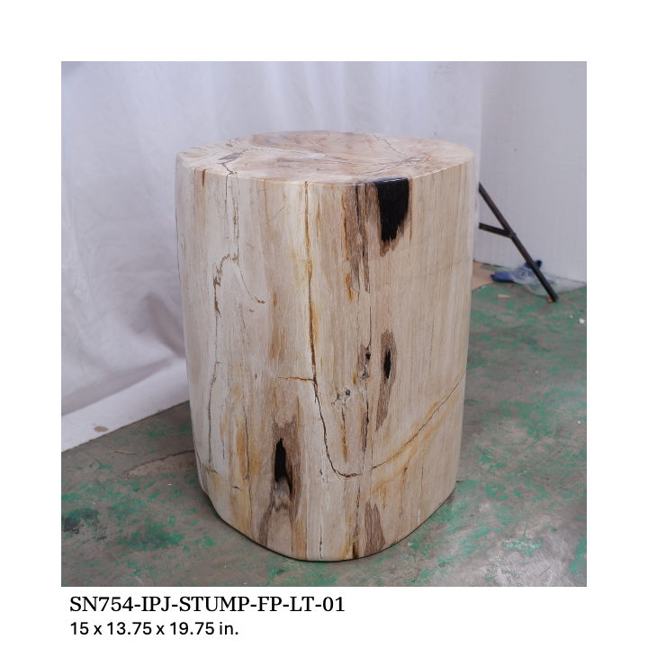 Polished Petrified Wood Stump - Natural Light