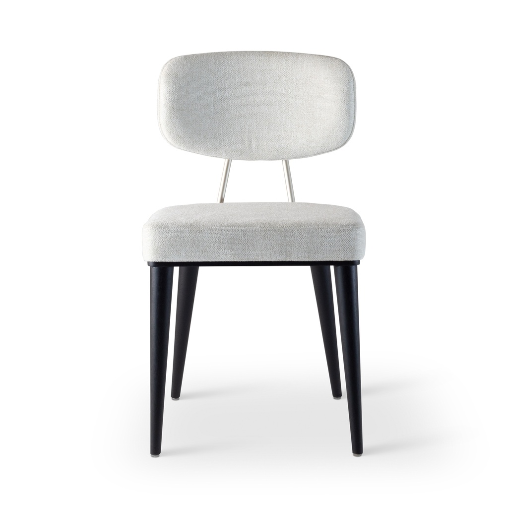 [BSM-254519-02] Nice Side Chair