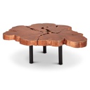 Aeris Coffee Table