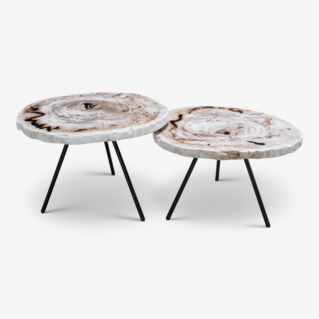 Sylvie Nesting Table (set of 2) - Natural Light